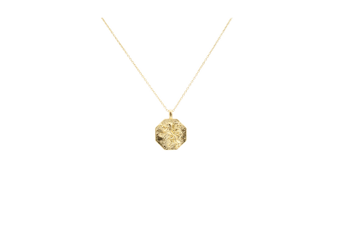 Lion coin pendant necklace 18k gold plated